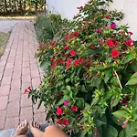 Your Cosy Getaway Halfway Between And Forest Апартаменты