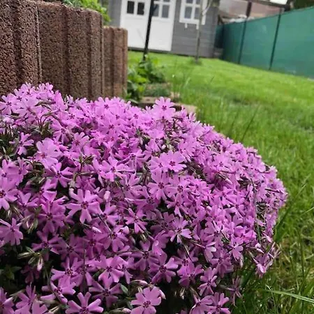 Lejlighed Your Cosy Getaway Halfway Between And Forest Vonyarcvashegy