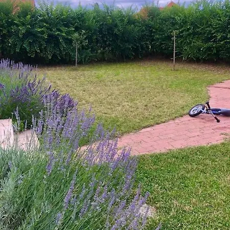 Lejlighed Your Cosy Getaway Halfway Between And Forest *