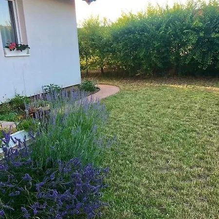 Lejlighed Your Cosy Getaway Halfway Between And Forest