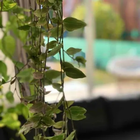 Your Cosy Getaway Halfway Between And Forest Lejlighed