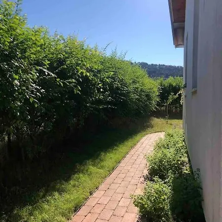 Your Cosy Getaway Halfway Between And Forest Lejlighed