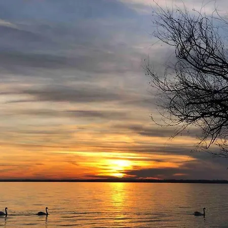 Lejlighed Your Cosy Getaway Halfway Between And Forest