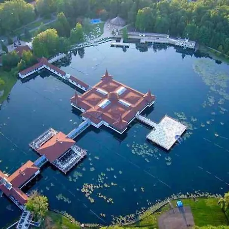 Apartment Your Cosy Getaway Halfway Between And Forest Vonyarcvashegy