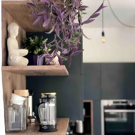 Your Cosy Getaway Halfway Between And Forest