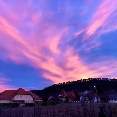 Your Cosy Getaway Halfway Between And Forest Apartment