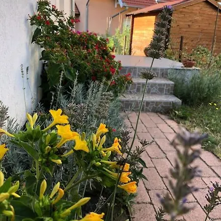 Your Cosy Getaway Halfway Between And Forest *