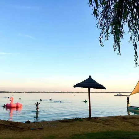 Your Cosy Getaway Halfway Between And Forest Lejlighed *