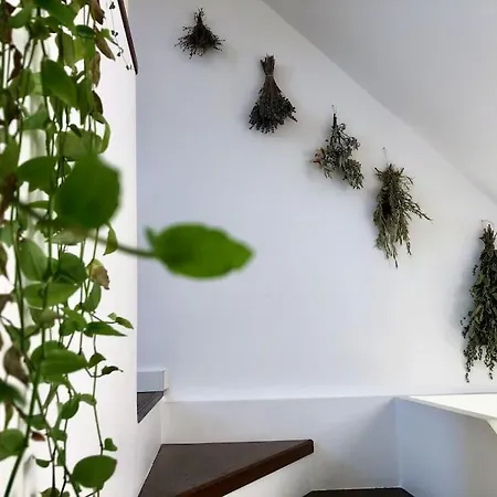 Your Cosy Getaway Halfway Between And Forest *