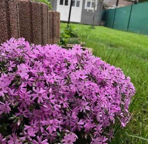 شقة Your Cosy Getaway Halfway Between And Forest فونيارتْسفاشغ