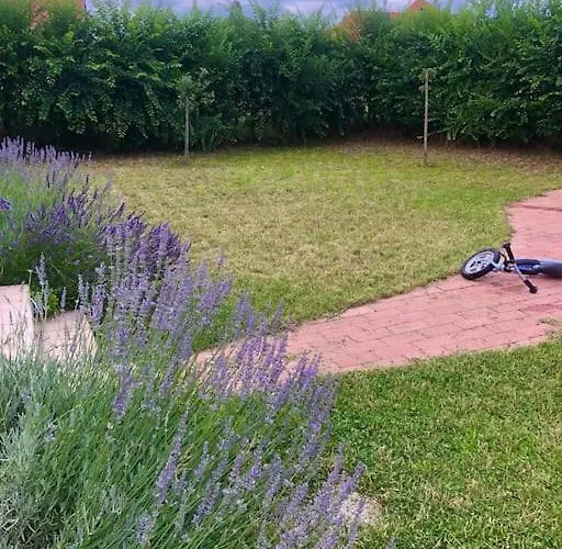 דירה Your Cosy Getaway Halfway Between And Forest *