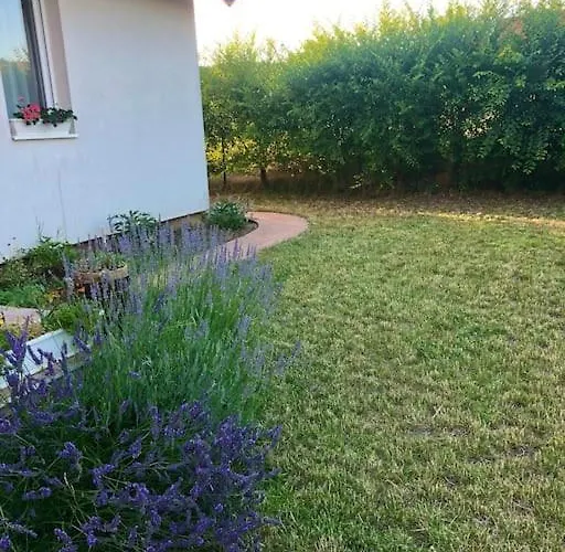 דירה Your Cosy Getaway Halfway Between And Forest