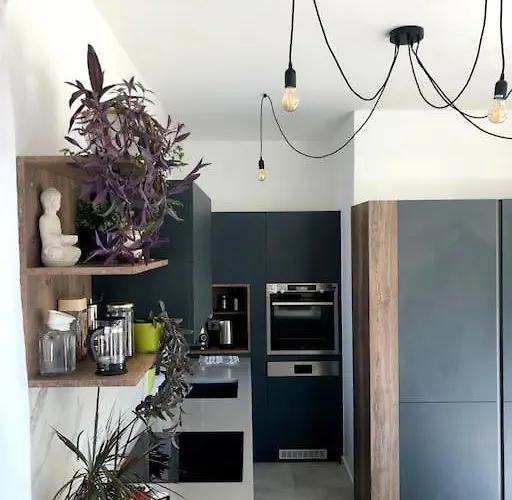 דירה Your Cosy Getaway Halfway Between And Forest פוניארצוושהג'