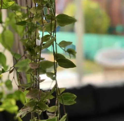 Your Cosy Getaway Halfway Between And Forest דירה