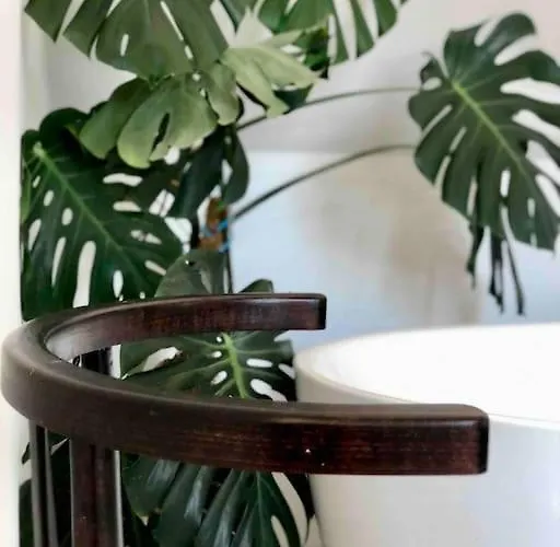 Your Cosy Getaway Halfway Between And Forest شقة فونيارتْسفاشغ