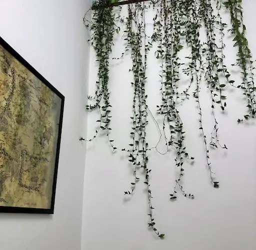 Your Cosy Getaway Halfway Between And Forest * פוניארצוושהג'