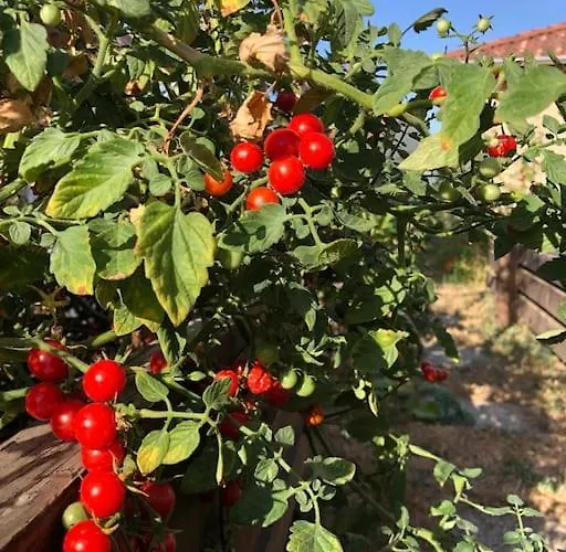 Your Cosy Getaway Halfway Between And Forest شقة