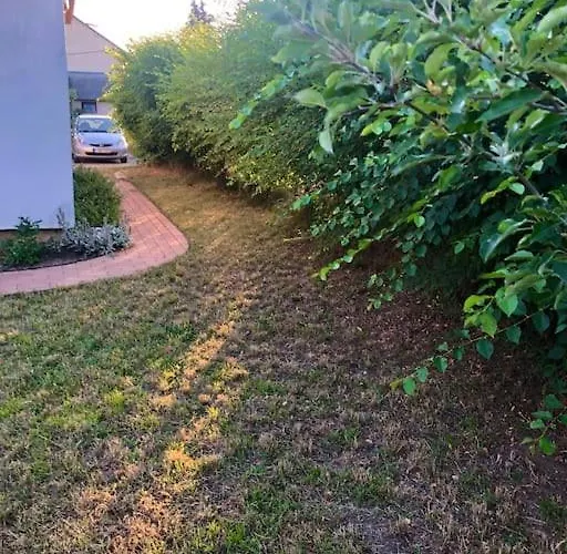 شقة Your Cosy Getaway Halfway Between And Forest *