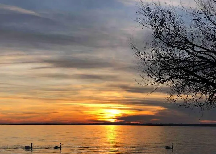 דירה Your Cosy Getaway Halfway Between And Forest