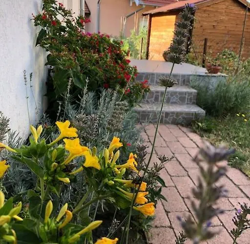 Your Cosy Getaway Halfway Between And Forest *