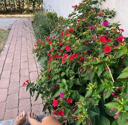 Your Cosy Getaway Halfway Between And Forest דירה