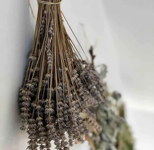 דירה Your Cosy Getaway Halfway Between And Forest