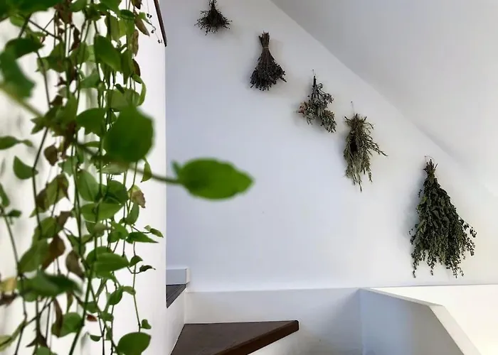 Your Cosy Getaway Halfway Between And Forest *